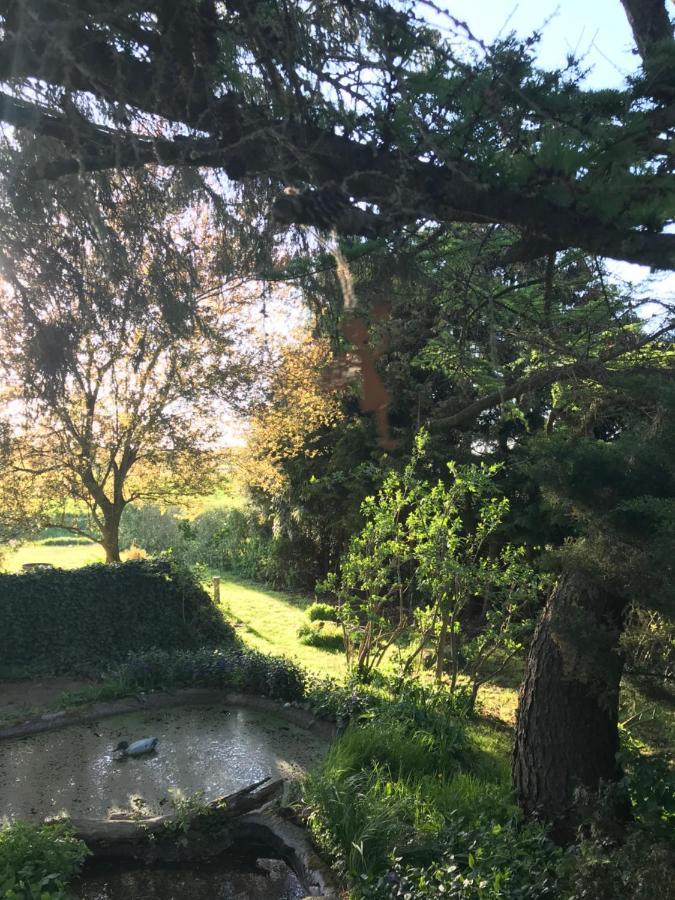 Baldies Tenne In Ostseenaehe Neu Wendorf 外观 照片